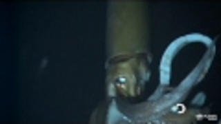 Watch the first-ever footage of the giant squid in its natural habitat